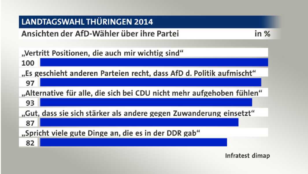 Landtagswahl Thüringen: Ansichten AfD-Wähler