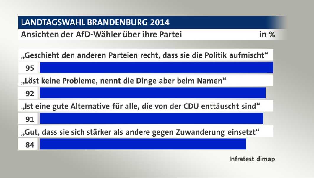 Landtagswahl Brandenburg: Ansichten AfD-Wähler
