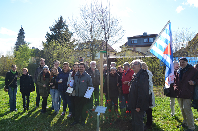 Ein Baum zur Erinnerung an den ehemaligen Häftling des KZ Buchenwald Theo Gaudig aus Essen